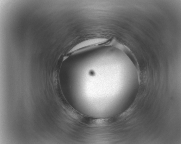 X0000066970184200604072040