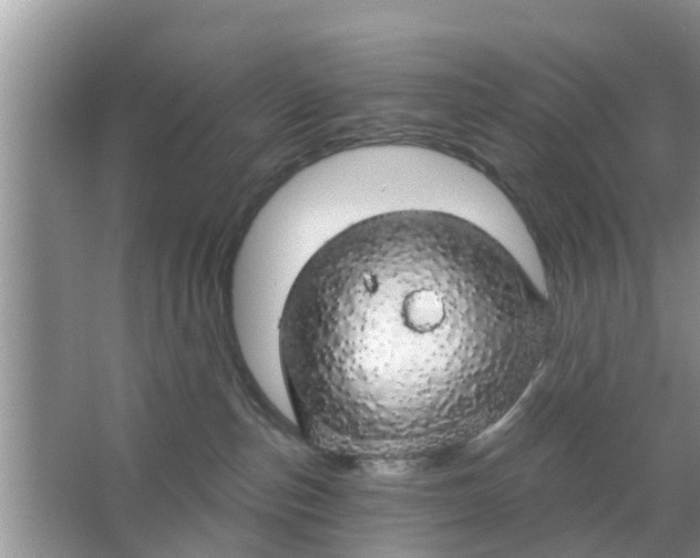 X0000066970187200604072040