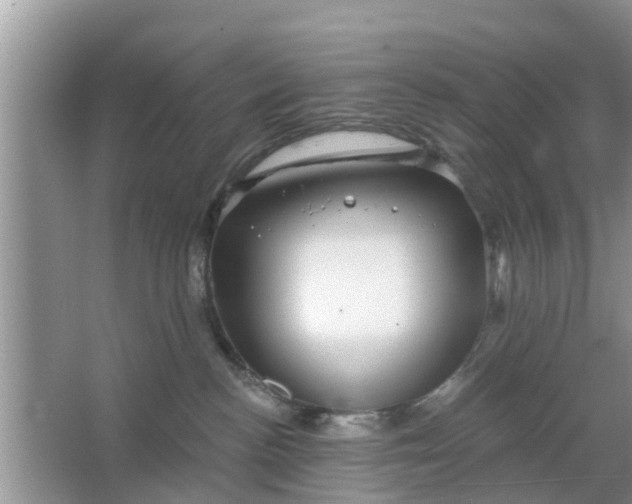 X0000066970188200604072040