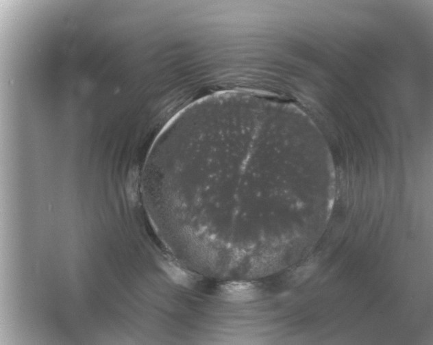 X0000066970189200604072040