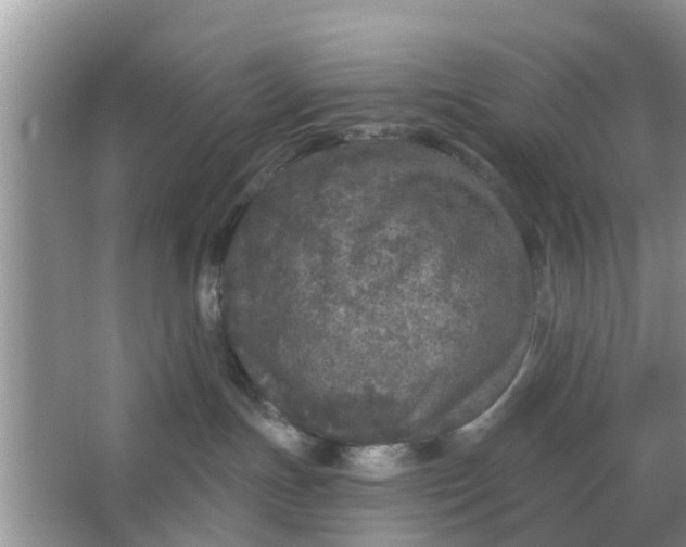 X0000066970191200604072040