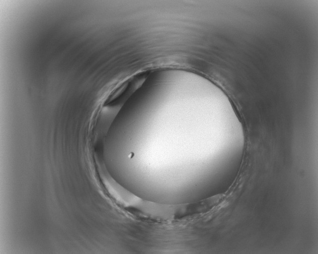 X0000066970193200604072039