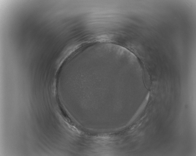 X0000066970194200604072039