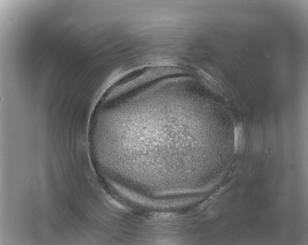 X0000066970195200604072039