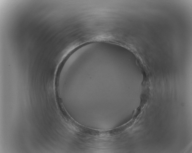 X0000066970196200604072039