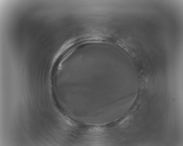 X0000066970198200604072039