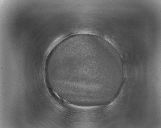 X0000066970199200604072039