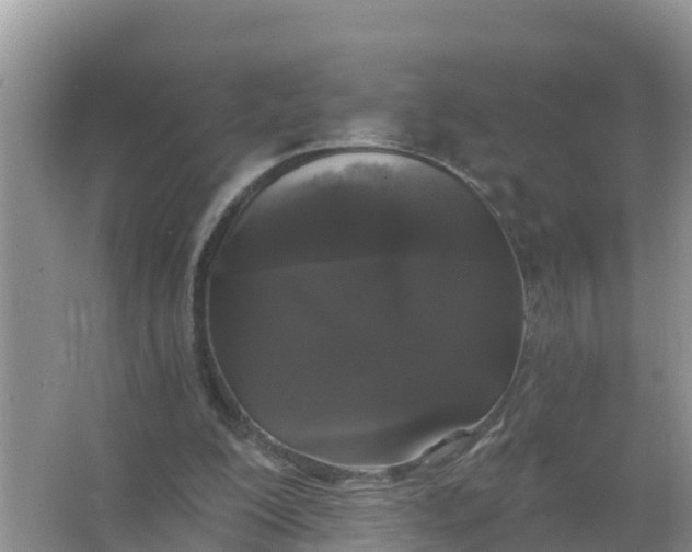 X0000066970200200604072039