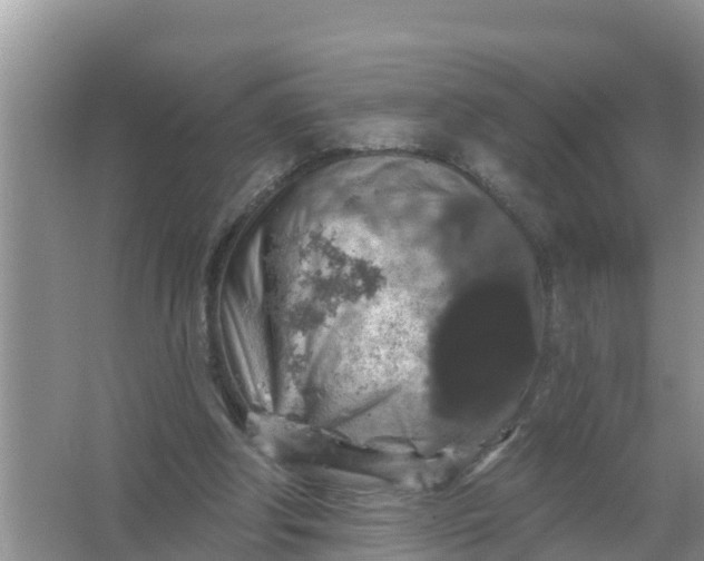 X0000066970202200604072039