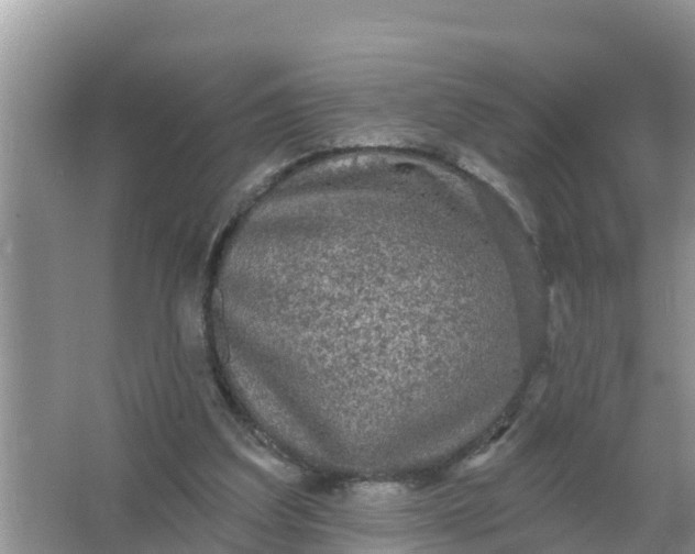 X0000066970203200604072039