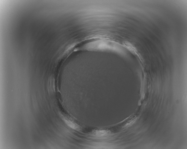 X0000066970205200604072039