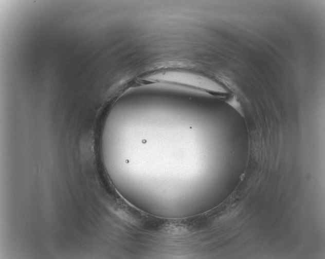 X0000066970207200604072039