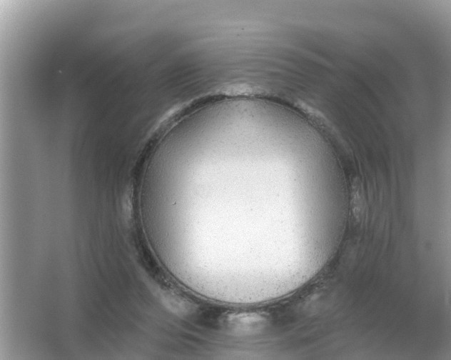 X0000066970208200604072039