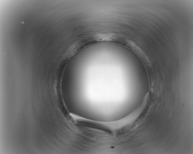 X0000066970209200604072039