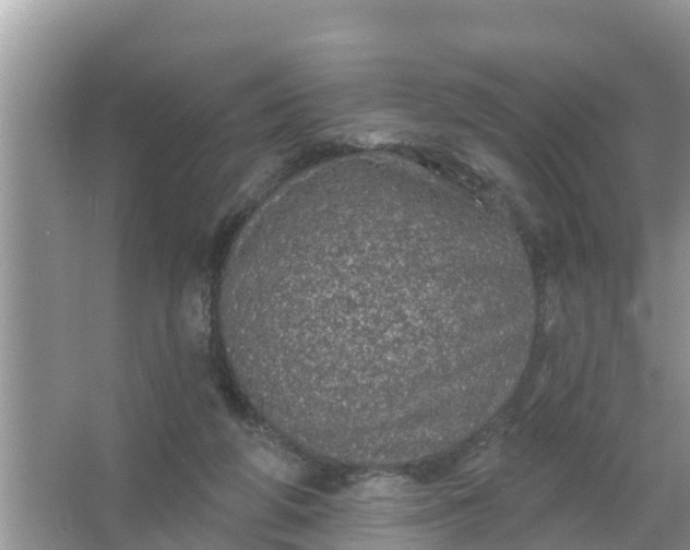 X0000066970210200604072039