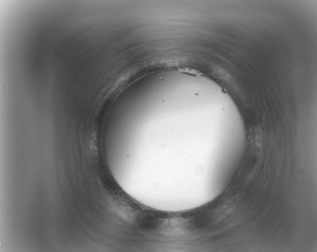 X0000066970212200604072039