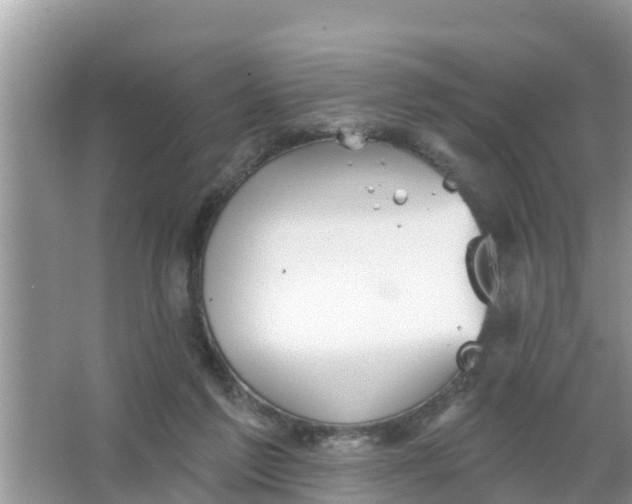 X0000066970213200604072039