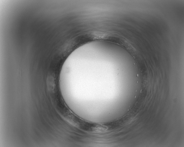 X0000066970215200604072039