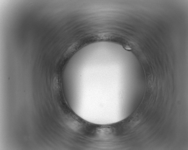 X0000066970220200604072039