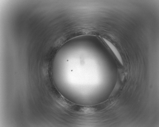 X0000066970221200604072039