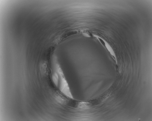 X0000066970222200604072039