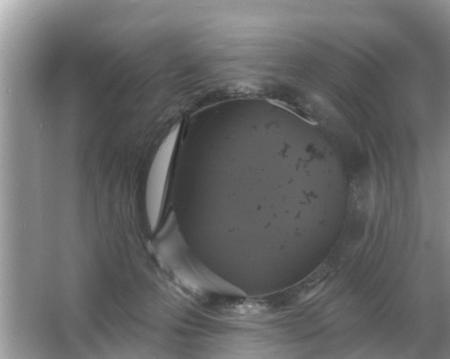 X0000066970223200604072039