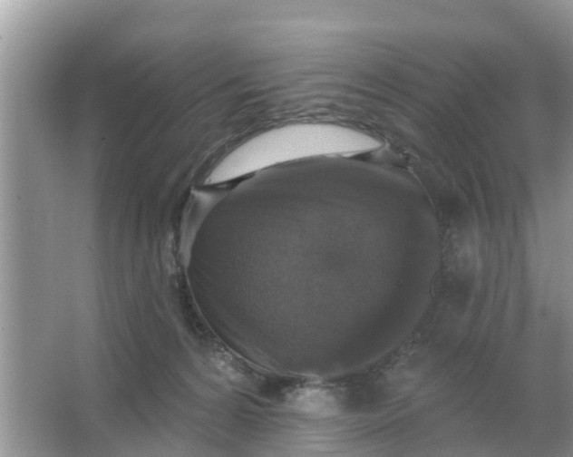 X0000066970224200604072039