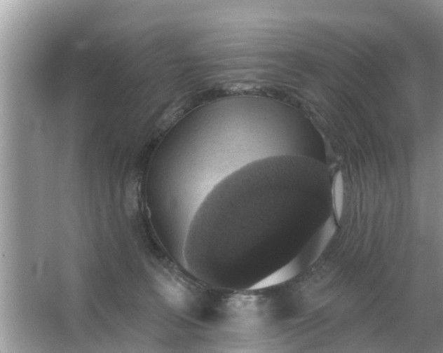 X0000066970227200604072039