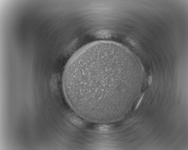 X0000066970229200604072038