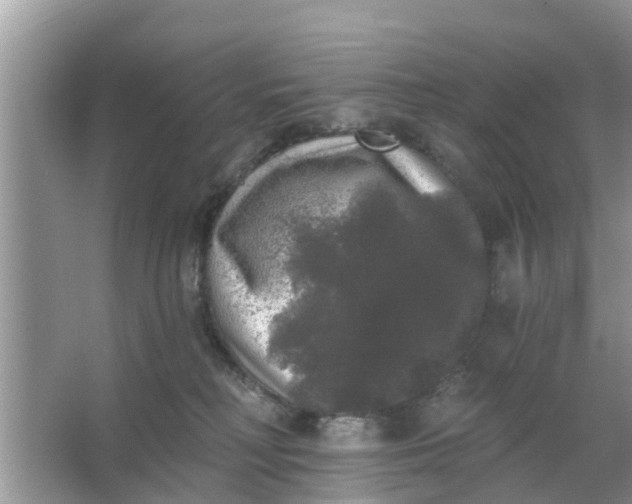 X0000066970230200604072038