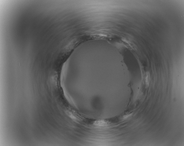 X0000066970231200604072038