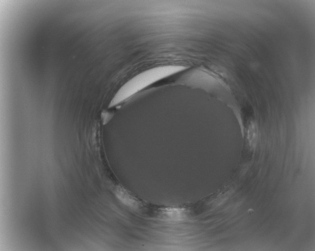 X0000066970233200604072038