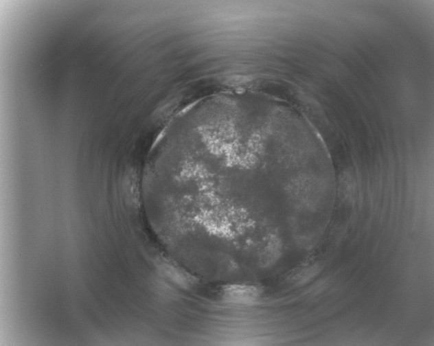 X0000066970234200604072038