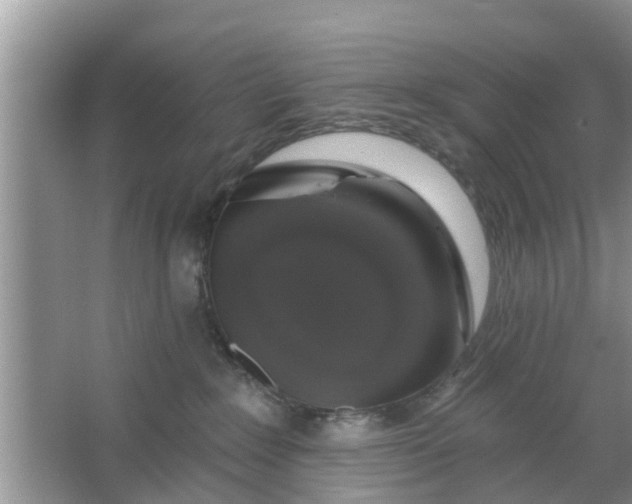 X0000066970235200604072038