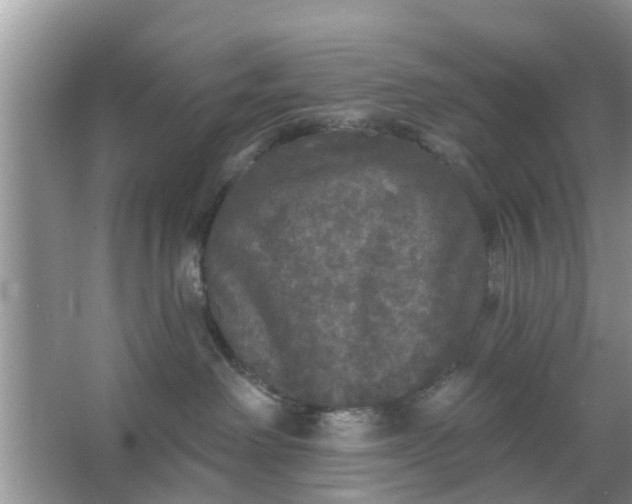 X0000066970238200604072038