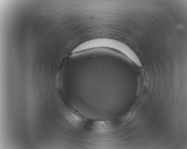 X0000066970239200604072038