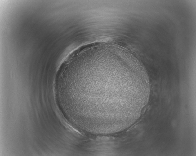 X0000066970242200604072037