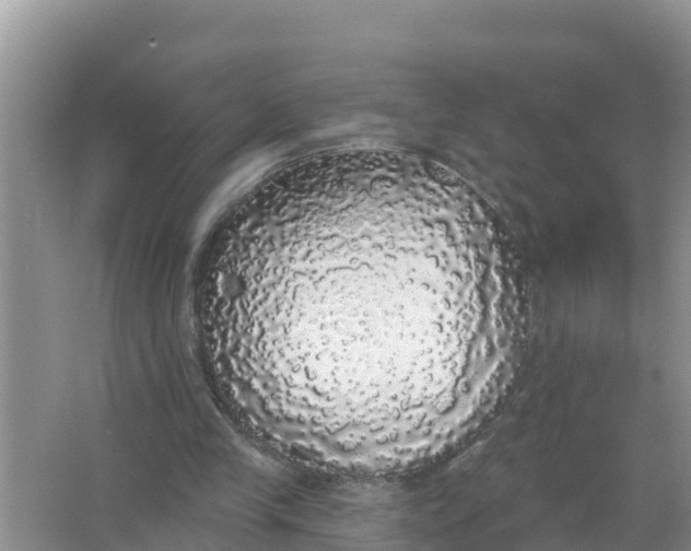 X0000066970245200604072038