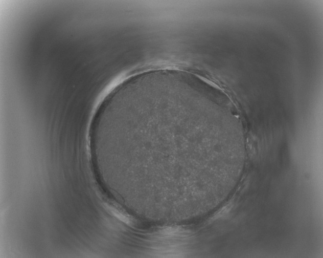 X0000066970246200604072038