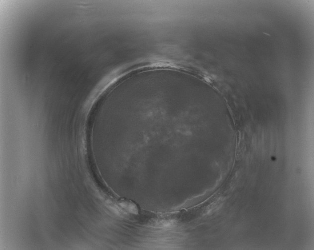 X0000066970247200604072038