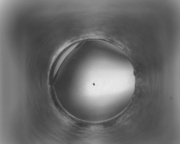 X0000066970248200604072038