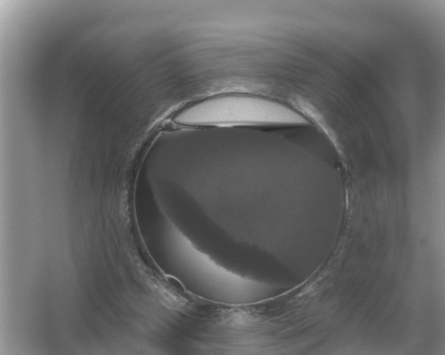 X0000066970249200604072038