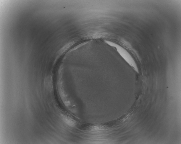 X0000066970250200604072038