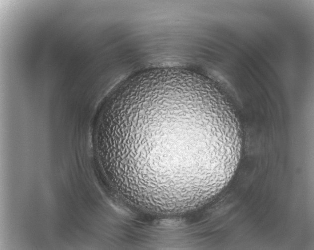 X0000066970251200604072038