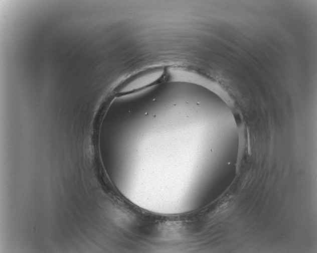 X0000066970252200604072038