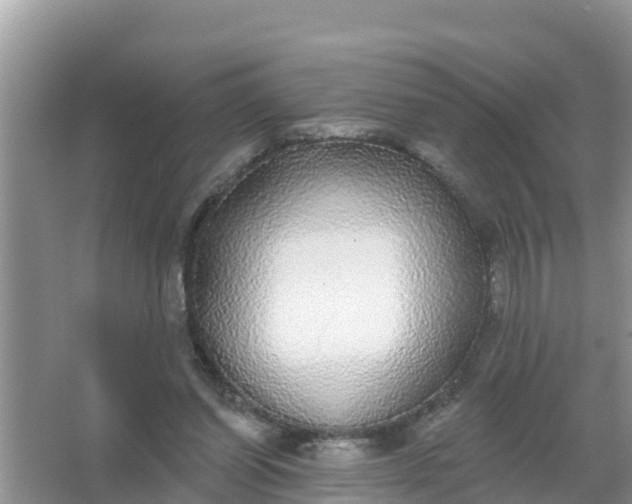 X0000066970254200604072038