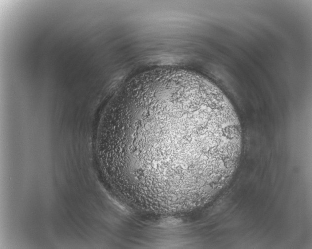 X0000066970257200604072038