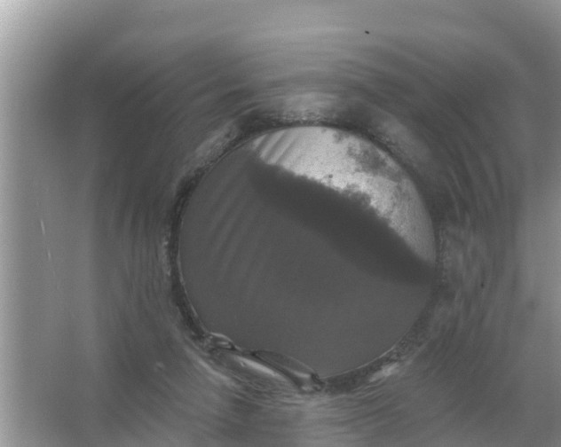 X0000066970258200604072038