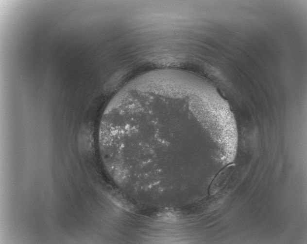 X0000066970259200604072038