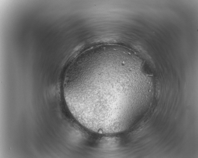 X0000066970260200604072038